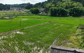 水库变渔场：WRAFES开辟渔旅融合新路径